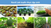 RonX – Lab & Farmers Garden tuyển sinh viên thực tập