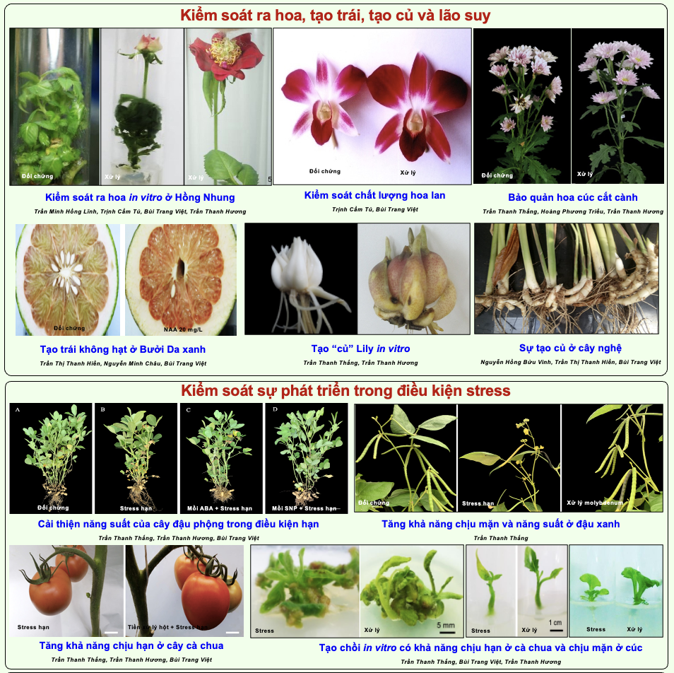 Screenshot 2026-05-08 at 23
