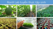 Phòng thí nghiệm nuôi cây mô thực vật Rồng Xanh - RonX Lab tuyển sinh viên thực tập