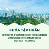 Khóa tập tuấn “Contribution of CHEMical ecology to the knowledge of MANGroves ecOsystem functioning in Vietnam - CHEMMANGO)